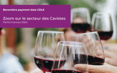 [Baromètre Payment Data] Zoom sur le secteur des Cavistes – Performances 2024